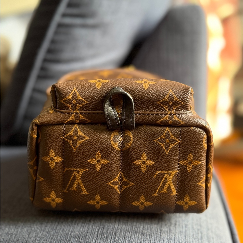 Louis Vuitton Monogram Mini Palm Spring Backpack - Picture 7 of 16